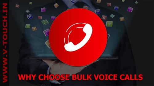 Best Bulk Voice SMS Company
