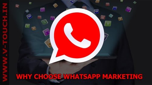 Whatsapp Marketing Company