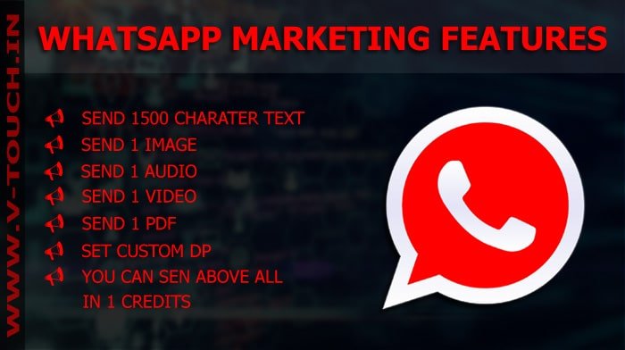WhatsApp Marketing Service Provider